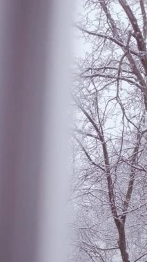 Şehirde soğuk bir gün: Kar taneleri yavaşça düşer, her şeyi parlak bir kar örtüsüyle kaplar. Yüksek kalite 4k görüntü