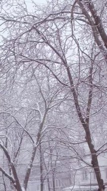 Karla kaplı sokaklar, karla kaplı arabalar ve şehirdeki kışın güzelliği kar yağışı. Yüksek kalite 4k görüntü