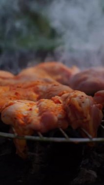 Aile hafta sonu barbekü ile dışarıda leziz biftekler pişirip rahatlatıcı bir atmosferde doğanın ve lezzetli yiyeceklerin tadını çıkarıyoruz. Yüksek kalite 4k görüntü