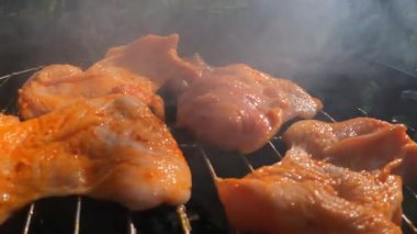 Kömür mangalında ızgara ızgara ile aile pikniği. Çevresi yeşil doğa rahatlatıcı açık hava yemekleri ve yaz atmosferiyle çevrili. Yüksek kalite 4k görüntü