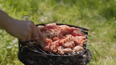 Aile barbeküsü açık havada et pişirip doğanın tadını çıkarıyor ve birlikte kaliteli vakit geçiriyoruz. Yüksek kalite 4k görüntü