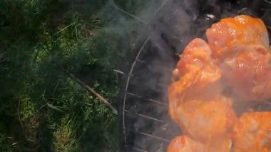 Mangal ızgarasında ızgara ızgara biftekler piknik sırasında doğada dinlenmek ve lezzetli yemeklerin tadını çıkarmak. Yüksek kalite 4k görüntü