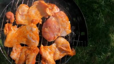 Mangal mangalının en üst görüntüsü. Açık havada pişen etli biftekler. Piknik sırasında taze havanın ve leziz ızgara yemeğin tadını çıkarıyor. Yüksek kalite 4k görüntü