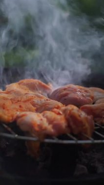 Açık ateşte yavaş ızgara biftekli piknik açık havada barbekü ve doğada lezzetli dumanlı bir lezzet. Yüksek kalite 4k görüntü