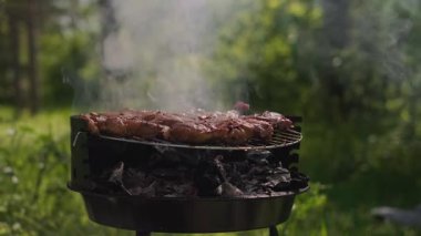 Kömür mangal sahnesinde et kızartılıyor. Doğanın tadını çıkarıyor. Mangal yapıyor ve rahatlıyor. Yüksek kalite 4k görüntü