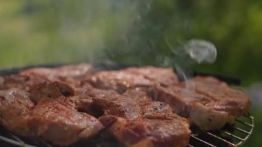Açık ateşte pişen et, açık havada leziz bir barbekü pişirme deneyimi için pişiyor. Yüksek kalite 4k görüntü