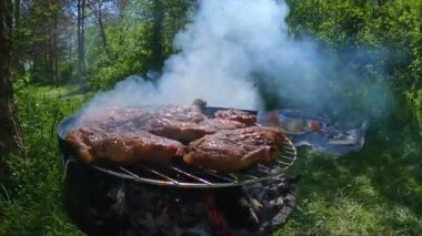 Mangalda ızgara ızgara ızgara ızgara ızgara ızgara Orman dışında barbekü doğa hafta sonu yemek sahnesi rahatlatıcı. Yüksek kalite 4k görüntü