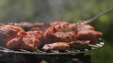 Barbeküde ızgara yapan bir adam doğa ve temiz hava için mükemmel bir hafta sonu fikri. Yüksek kalite 4k görüntü