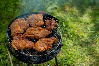 Aile toplantısı sırasında ızgara ızgarada leziz biftekler taze havanın ve iyi yemeğin tadını çıkarıyorlar..