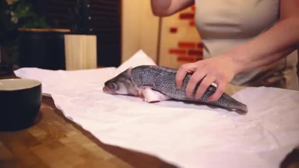 Dziewczyna Gotowanie Ryb Kuchni — Wideo stockowe