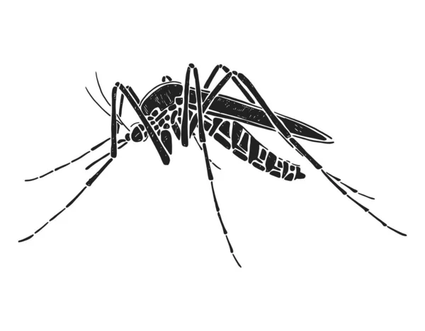 Mosquito Silhouette Black White Vector Illustration — Stock Vector