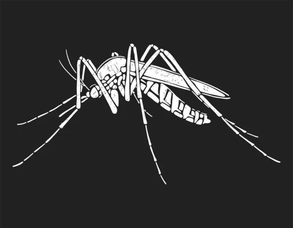 Silueta Mosquito Ilustración Vectorial Blanco Negro Sobre Fondo Negro — Vector de stock