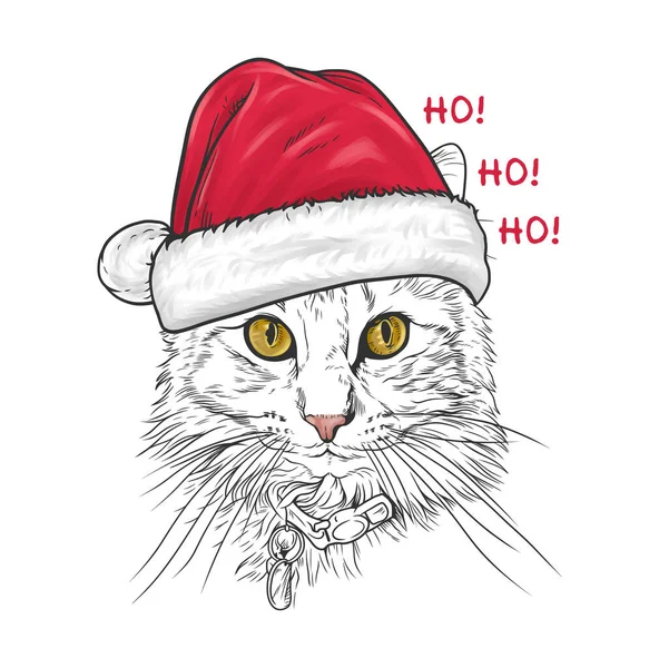 Jolie Tête Chat Portant Chapeau Père Noël Illustration Vectorielle Style — Image vectorielle
