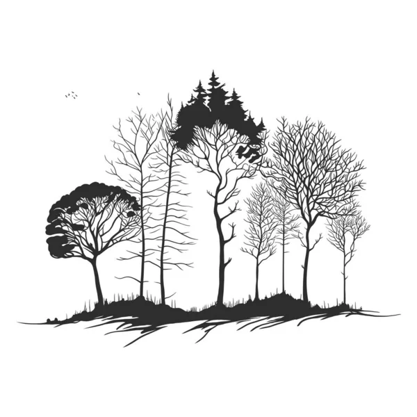 黑白老树矢量线艺术图解 — 图库矢量图片