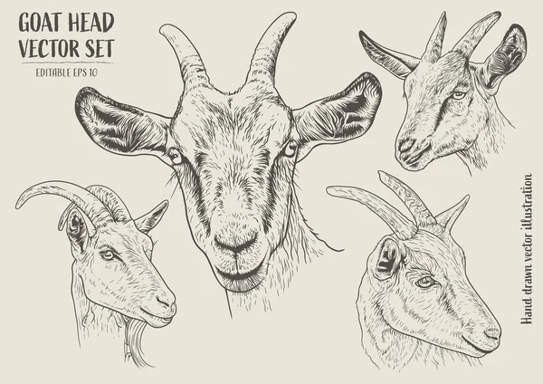 El çizimi keçi kafaları. Robot resim biçiminde vektör illüstrasyonu.