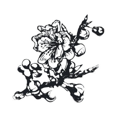 Kiraz çiçeğinin eskizi. Mürekkep el çizimi vektör çizimi.