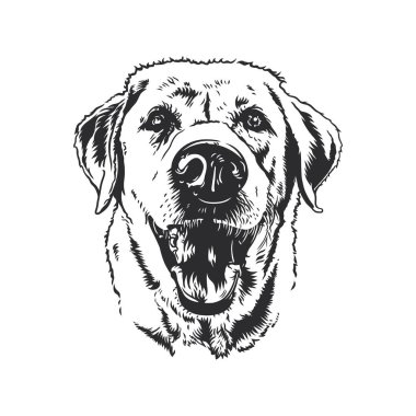 Mutlu bir gülümseme köpek vesikalığı vektör çizimi.