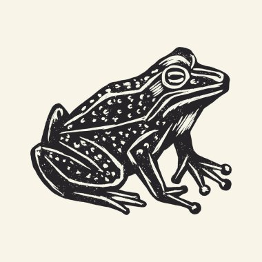 Siyah ve beyaz kurbağa resmi, klasik tarzda, oturuyor ve yan bakıyor..