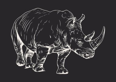 Burnunda iki belirgin boynuz bulunan bir gergedanın ayrıntılı siyah beyaz çizimi, beyaz bir arkaplan üzerine kuruludur..