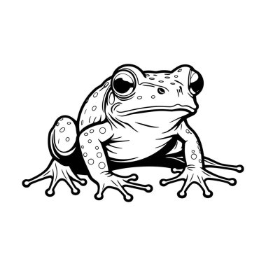 Black and white line drawing of a frog sitting upright. clipart