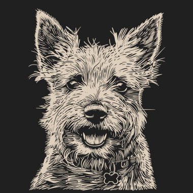 Oyuncu ifadeli bir Cairn Terrier 'in ayrıntılı çizimi.
