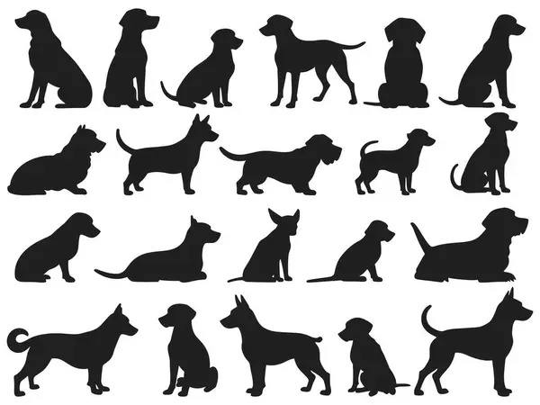 Çeşitli köpek cinsi siluetler. Temiz, minimalist tarzda.