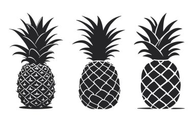 Siyah beyaz üç stilize ananas..