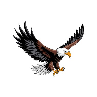 Görkemli Kel Kartal Kanatlarıyla Uçuyor.