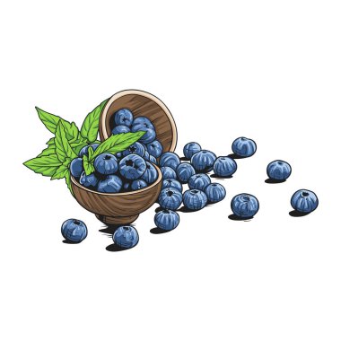 Yeşil Yapraklı Taze Yabanmersini Kasesi.