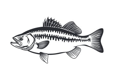 Ayrıntılı anatomik bir balığın tek renkli çizimi.