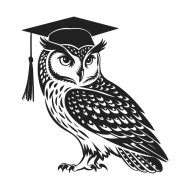 Mezuniyet şapkalı bir baykuş çizimi..