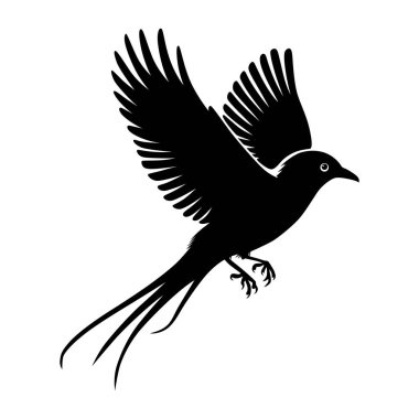 Beyaz arkaplanda uçan kuş silueti.