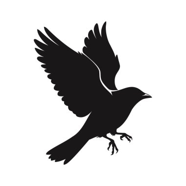 Uçan siyah bir kuşun silueti.