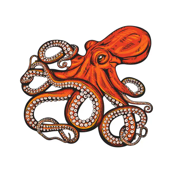 Girdap dokunaçlı oyuncu ahtapot grafiği.