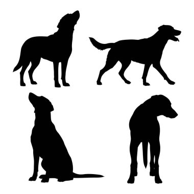 Çeşitli doğal pozlarda dört farklı köpek silueti koleksiyonu.