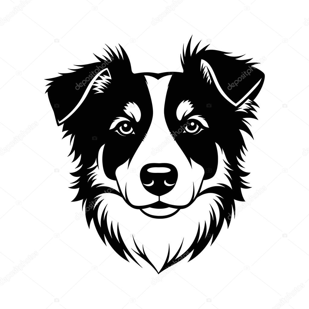 Iconic Border Collie dog head illustration.