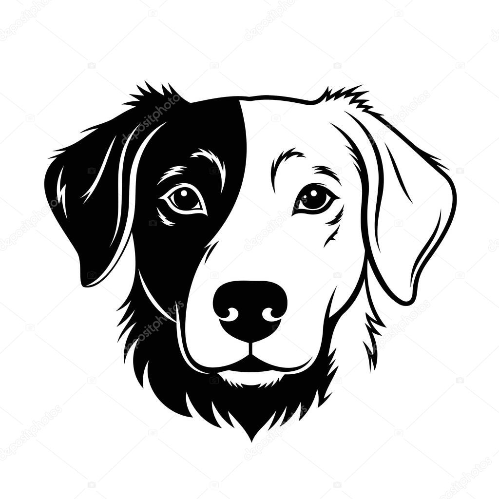 Frontal view of a Border Collie's head, rendered in bold black and white.