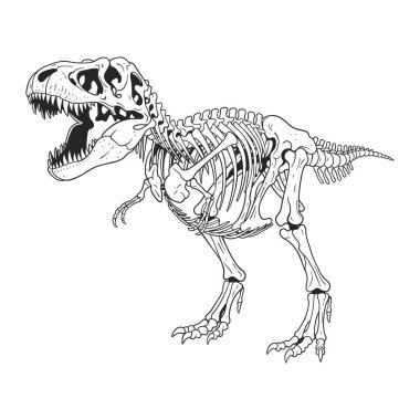 Bir Tyrannosaurus Rex İskelet Paleontoloji Çiziminin Ayrıntılı Tasviri.