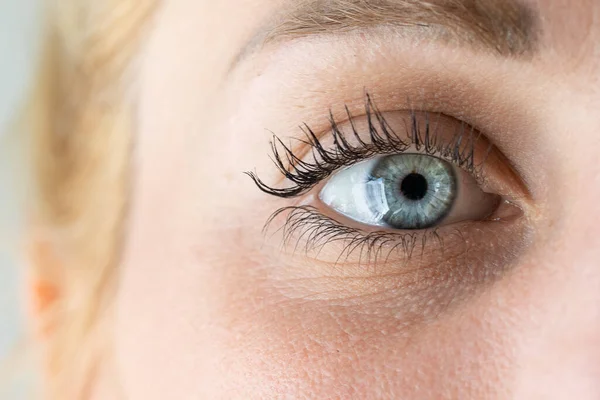 Детали Голубого Человеческого Глаза Макро Голубого Глаза Ресницы Брови Белокурой — стоковое фото
