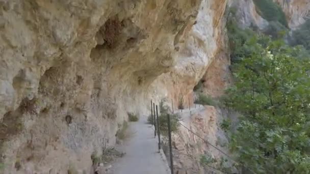 Horseback Riding Mountain Mule Track Panoramic View Overhang One Side — Stock Video