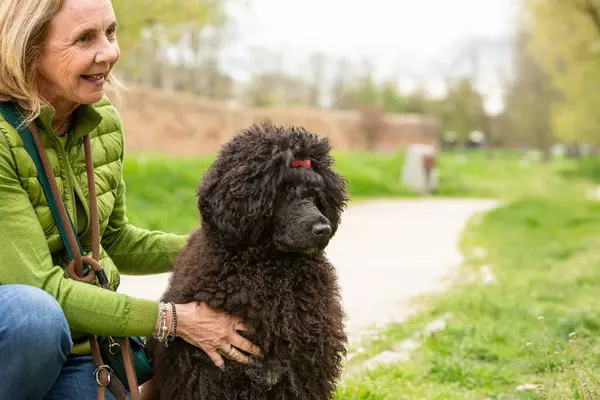 A woman smiles as she gently pets her attentive black poodle during a relaxing outdoor moment, illustrating the loving relationship between humans and pets