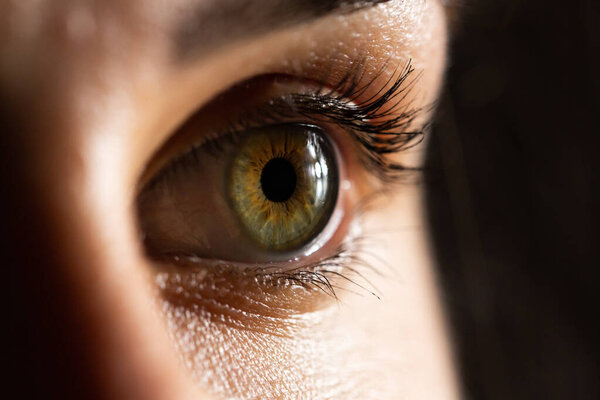 Крупный план женского глаза с длинными ресницами и расширенным зрачком