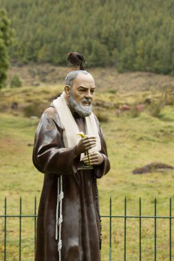 Papaz Pio 'nun kafasında bir karatavuk taşıyan bronz heykeli.