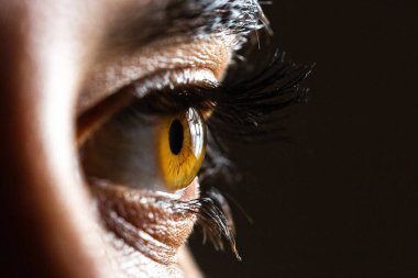 Kehribar rengi uzun siyah kirpikleri ve kaşları olan kehribar gözün yakın çekimi dramatik ve büyüleyici bir görüntü yaratıyor.