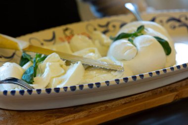Süslü seramik tabakta servis edilecek taze fesleğen yapraklı kremalı bufalo peyniri.