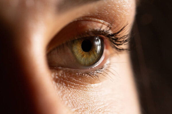 Крупный план очаровательного зеленого глаза женщины, с длинными ресницами и вдумчивым выражением