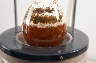 Fizyoterapi araştırmaları sırasında laboratuvarda bitki çayı hazırlama, doğal çareleri keşfetme.