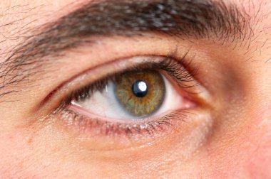 Macro photography of an eye showcasing its intricate details, including green and brown iris, pupil, eyelashes, and eyebrow clipart