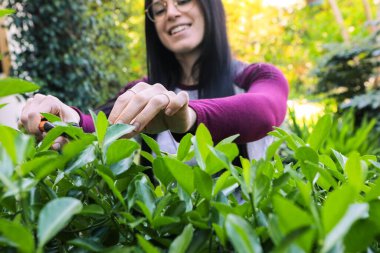 Bahçıvan bahçe makası ile çiti buduyor ve gülümsüyor.