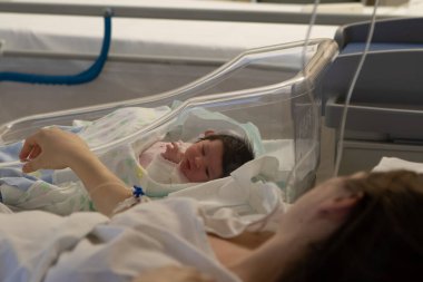 Yeni doğan bebek annesinin yanında bir hastane beşiğinde dinleniyor, doğumdan sonraki değerli anları yakalıyor.